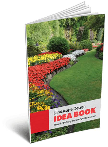 LaRosa-Idea-Book-Cover