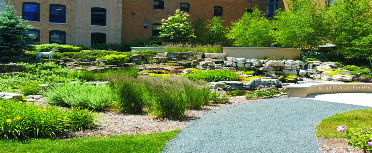 Cancer Center Healing Garden